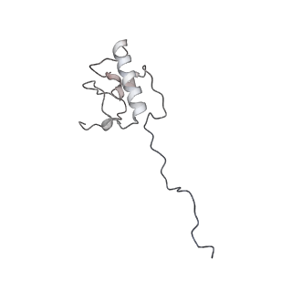 11390_6zs9_AP_v1-0
Human mitochondrial ribosome in complex with ribosome recycling factor