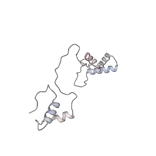 11390_6zs9_AS_v1-0
Human mitochondrial ribosome in complex with ribosome recycling factor