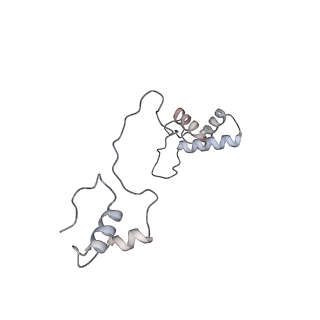 11390_6zs9_AS_v2-0
Human mitochondrial ribosome in complex with ribosome recycling factor