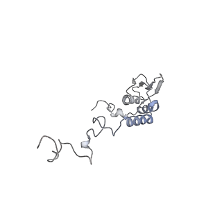 11390_6zs9_AT_v1-0
Human mitochondrial ribosome in complex with ribosome recycling factor