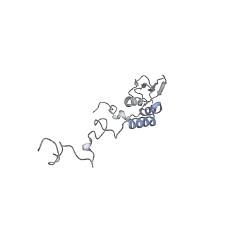 11390_6zs9_AT_v3-0
Human mitochondrial ribosome in complex with ribosome recycling factor