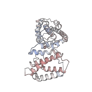 11390_6zs9_AV_v1-0
Human mitochondrial ribosome in complex with ribosome recycling factor
