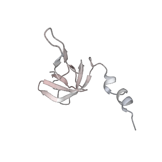 11390_6zs9_AW_v1-0
Human mitochondrial ribosome in complex with ribosome recycling factor