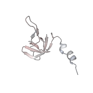 11390_6zs9_AW_v2-0
Human mitochondrial ribosome in complex with ribosome recycling factor