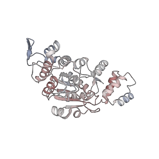 11390_6zs9_AX_v1-0
Human mitochondrial ribosome in complex with ribosome recycling factor