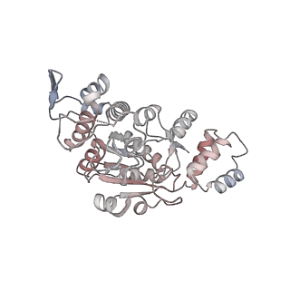 11390_6zs9_AX_v2-0
Human mitochondrial ribosome in complex with ribosome recycling factor