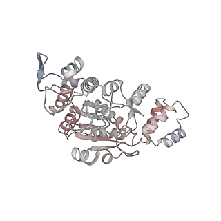 11390_6zs9_AX_v3-0
Human mitochondrial ribosome in complex with ribosome recycling factor