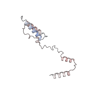 11390_6zs9_AY_v1-0
Human mitochondrial ribosome in complex with ribosome recycling factor