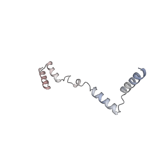11390_6zs9_AZ_v1-0
Human mitochondrial ribosome in complex with ribosome recycling factor