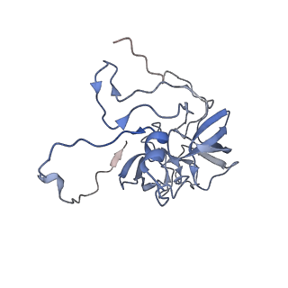 11390_6zs9_XD_v1-0
Human mitochondrial ribosome in complex with ribosome recycling factor