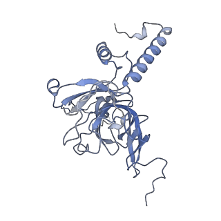 11390_6zs9_XE_v1-0
Human mitochondrial ribosome in complex with ribosome recycling factor