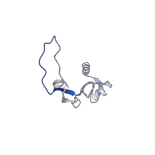11390_6zs9_XH_v1-0
Human mitochondrial ribosome in complex with ribosome recycling factor