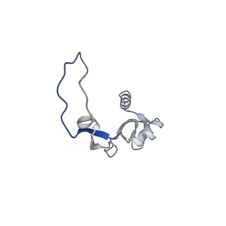 11390_6zs9_XH_v3-0
Human mitochondrial ribosome in complex with ribosome recycling factor