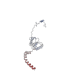11390_6zs9_XI_v1-0
Human mitochondrial ribosome in complex with ribosome recycling factor