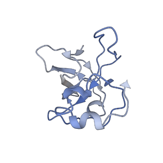 11390_6zs9_XL_v1-0
Human mitochondrial ribosome in complex with ribosome recycling factor