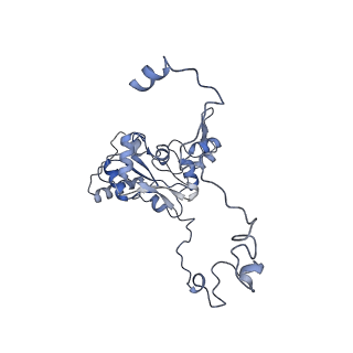 11390_6zs9_XM_v2-0
Human mitochondrial ribosome in complex with ribosome recycling factor