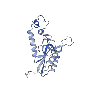 11390_6zs9_XN_v1-0
Human mitochondrial ribosome in complex with ribosome recycling factor