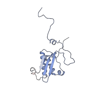 11390_6zs9_XP_v2-0
Human mitochondrial ribosome in complex with ribosome recycling factor