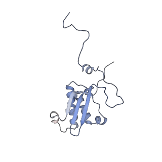 11390_6zs9_XP_v3-0
Human mitochondrial ribosome in complex with ribosome recycling factor