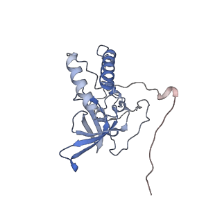 11390_6zs9_XQ_v1-0
Human mitochondrial ribosome in complex with ribosome recycling factor
