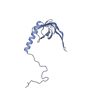 11390_6zs9_XS_v1-0
Human mitochondrial ribosome in complex with ribosome recycling factor