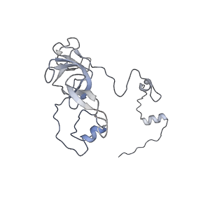 11390_6zs9_XV_v1-0
Human mitochondrial ribosome in complex with ribosome recycling factor