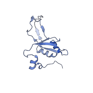 11390_6zs9_XZ_v1-0
Human mitochondrial ribosome in complex with ribosome recycling factor