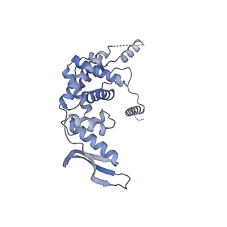 11390_6zs9_c_v1-0
Human mitochondrial ribosome in complex with ribosome recycling factor