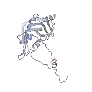 11390_6zs9_d_v1-0
Human mitochondrial ribosome in complex with ribosome recycling factor