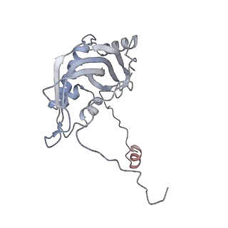 11390_6zs9_d_v2-0
Human mitochondrial ribosome in complex with ribosome recycling factor