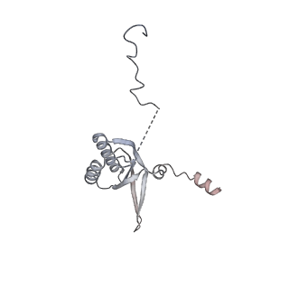 11390_6zs9_f_v1-0
Human mitochondrial ribosome in complex with ribosome recycling factor