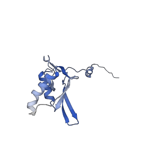 11390_6zs9_g_v1-0
Human mitochondrial ribosome in complex with ribosome recycling factor