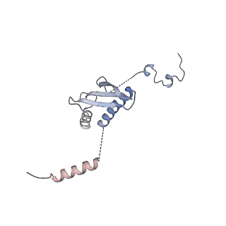 11390_6zs9_p_v1-0
Human mitochondrial ribosome in complex with ribosome recycling factor