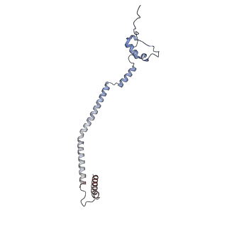 11390_6zs9_q_v1-0
Human mitochondrial ribosome in complex with ribosome recycling factor