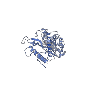 11390_6zs9_s_v1-0
Human mitochondrial ribosome in complex with ribosome recycling factor