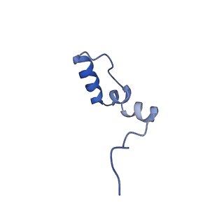 11391_6zsa_2_v1-0
Human mitochondrial ribosome bound to mRNA, A-site tRNA and P-site tRNA