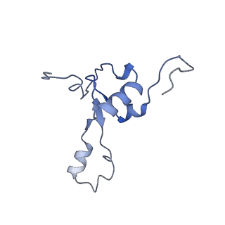 11391_6zsa_3_v1-0
Human mitochondrial ribosome bound to mRNA, A-site tRNA and P-site tRNA