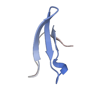 11391_6zsa_4_v1-0
Human mitochondrial ribosome bound to mRNA, A-site tRNA and P-site tRNA