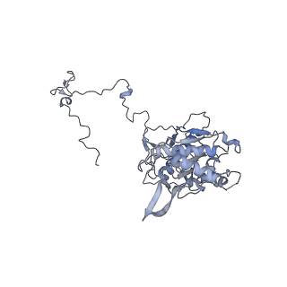 11391_6zsa_5_v1-0
Human mitochondrial ribosome bound to mRNA, A-site tRNA and P-site tRNA