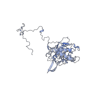 11391_6zsa_5_v2-0
Human mitochondrial ribosome bound to mRNA, A-site tRNA and P-site tRNA