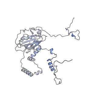 11391_6zsa_6_v1-0
Human mitochondrial ribosome bound to mRNA, A-site tRNA and P-site tRNA