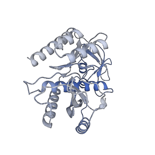 11391_6zsa_7_v1-0
Human mitochondrial ribosome bound to mRNA, A-site tRNA and P-site tRNA