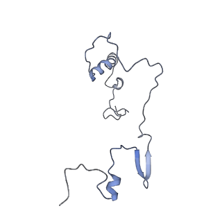11391_6zsa_9_v1-0
Human mitochondrial ribosome bound to mRNA, A-site tRNA and P-site tRNA