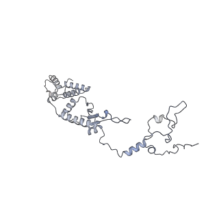 11391_6zsa_A1_v1-0
Human mitochondrial ribosome bound to mRNA, A-site tRNA and P-site tRNA