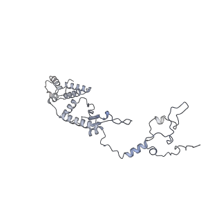 11391_6zsa_A1_v2-0
Human mitochondrial ribosome bound to mRNA, A-site tRNA and P-site tRNA