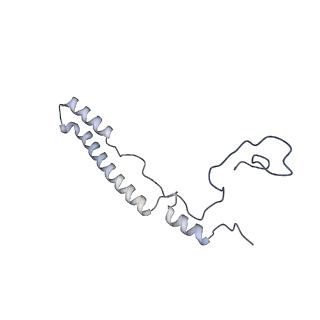 11391_6zsa_A2_v1-0
Human mitochondrial ribosome bound to mRNA, A-site tRNA and P-site tRNA