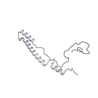 11391_6zsa_A2_v2-0
Human mitochondrial ribosome bound to mRNA, A-site tRNA and P-site tRNA