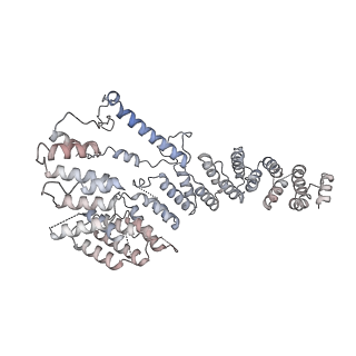 11391_6zsa_A4_v1-0
Human mitochondrial ribosome bound to mRNA, A-site tRNA and P-site tRNA