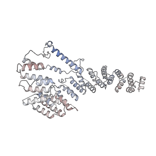 11391_6zsa_A4_v2-0
Human mitochondrial ribosome bound to mRNA, A-site tRNA and P-site tRNA