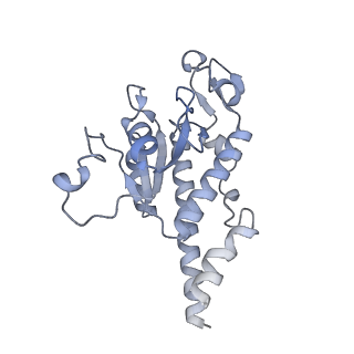 11391_6zsa_AB_v1-0
Human mitochondrial ribosome bound to mRNA, A-site tRNA and P-site tRNA